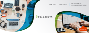 Usługi informatyczne firm - Teleaudyt
